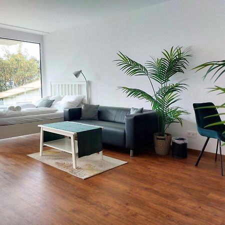 Rooftop Apartments - Modernes Studioapartment Fuer 3 Personen 란게나우 외부 사진